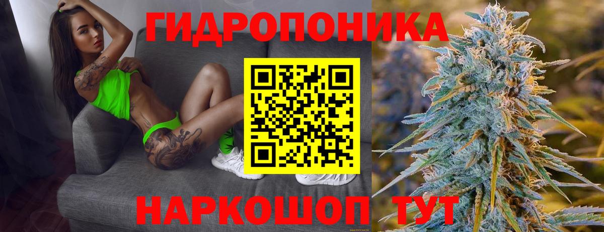 Конопля OG Kush Копейск